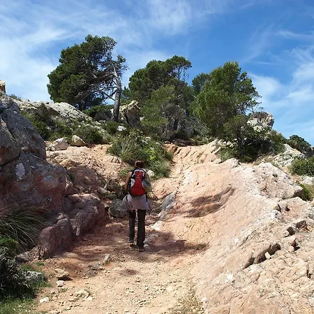 Petit 3* Alaró