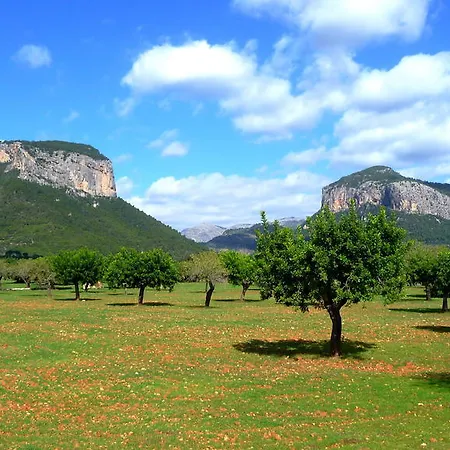 Hotell Petit 3*
